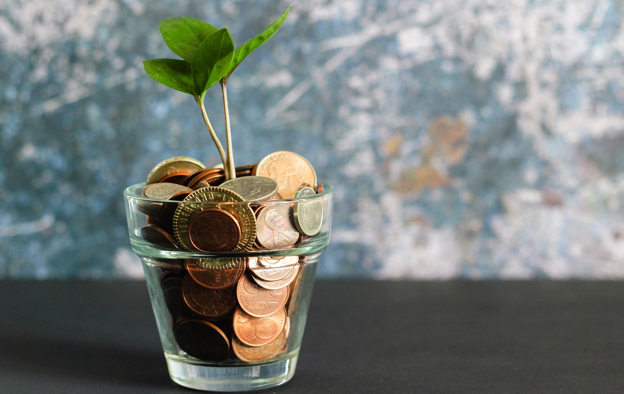 Image of a plant shoot growing from a pot of money